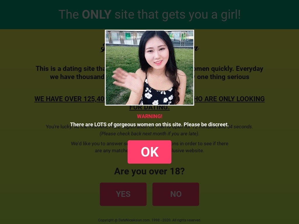 Date Nice Asian Review – Dating Platform with the Top Security 